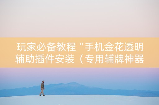 玩家必备教程“手机金花透明辅助插件安装（专用辅牌神器免安装）