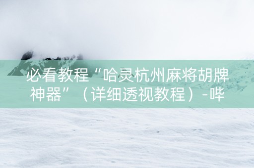 必看教程“哈灵杭州麻将胡牌神器”（详细透视教程）-哔哩哔哩