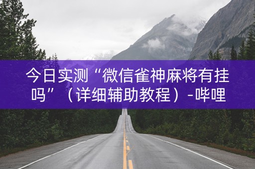 今日实测“微信雀神麻将有挂吗”（详细辅助教程）-哔哩哔哩