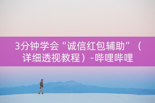 3分钟学会“诚信红包辅助”（详细透视教程）-哔哩哔哩