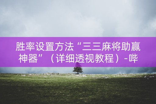 胜率设置方法“三三麻将助赢神器”（详细透视教程）-哔哩哔哩