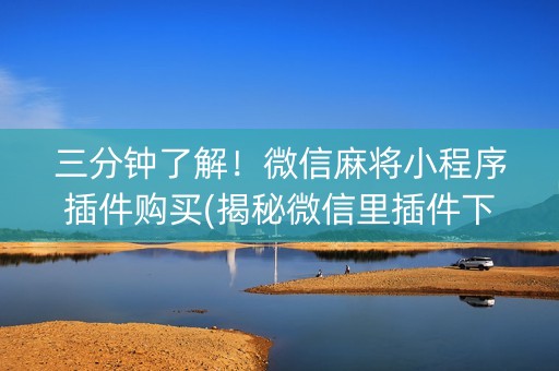 三分钟了解！微信麻将小程序插件购买(揭秘微信里插件下载)