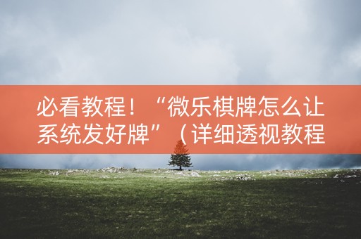必看教程！“微乐棋牌怎么让系统发好牌”（详细透视教程）-哔哩哔哩