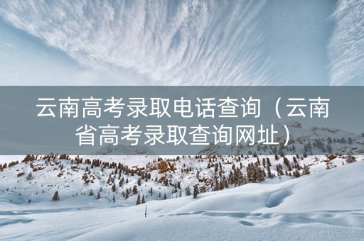 云南高考录取电话查询（云南省高考录取查询网址）