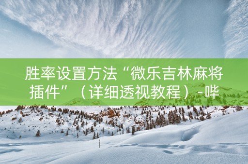 胜率设置方法“微乐吉林麻将插件”（详细透视教程）-哔哩哔哩