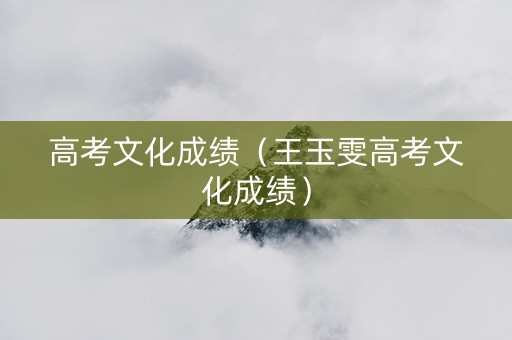 高考文化成绩（王玉雯高考文化成绩）