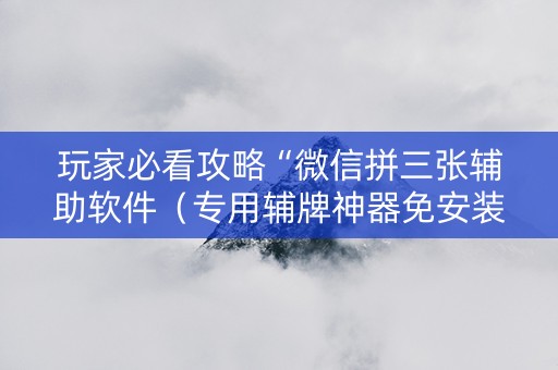 玩家必看攻略“微信拼三张辅助软件（专用辅牌神器免安装）
