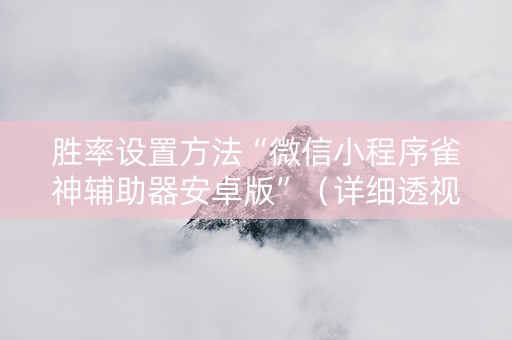 胜率设置方法“微信小程序雀神辅助器安卓版”（详细透视教程）-哔哩哔哩