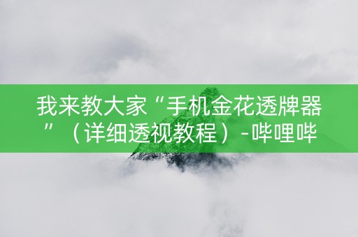 我来教大家“手机金花透牌器”（详细透视教程）-哔哩哔哩
