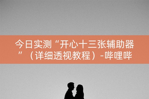 今日实测“开心十三张辅助器”（详细透视教程）-哔哩哔哩