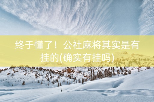 终于懂了！公社麻将其实是有挂的(确实有挂吗)