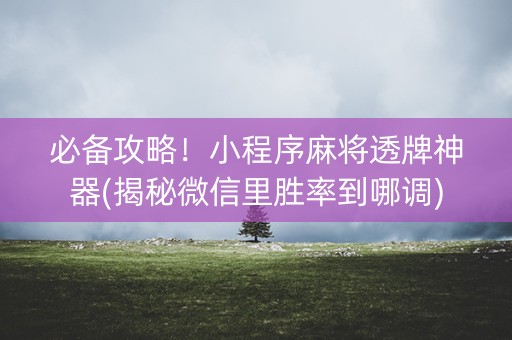 必备攻略！小程序麻将透牌神器(揭秘微信里胜率到哪调)