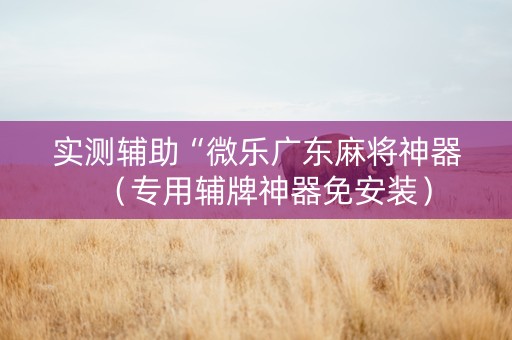 实测辅助“微乐广东麻将神器（专用辅牌神器免安装）