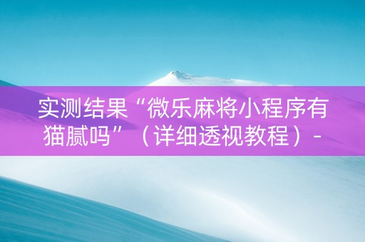 实测结果“微乐麻将小程序有猫腻吗”（详细透视教程）-哔哩哔哩