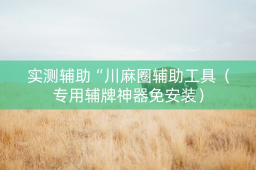 实测辅助“川麻圈辅助工具（专用辅牌神器免安装）