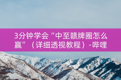 3分钟学会“中至赣牌圈怎么赢”（详细透视教程）-哔哩哔哩