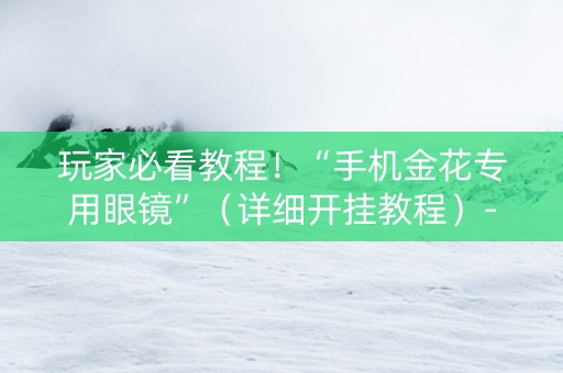 玩家必看教程！“手机金花专用眼镜”（详细开挂教程）-哔哩哔哩