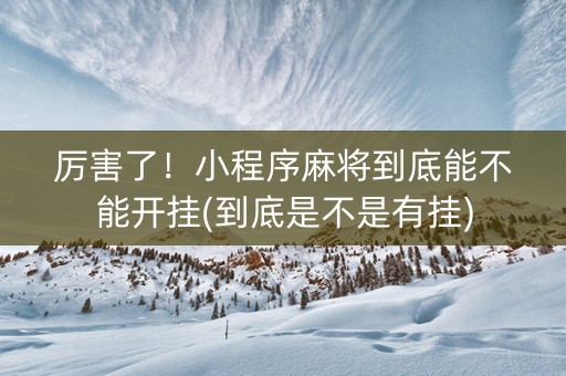 厉害了！小程序麻将到底能不能开挂(到底是不是有挂)