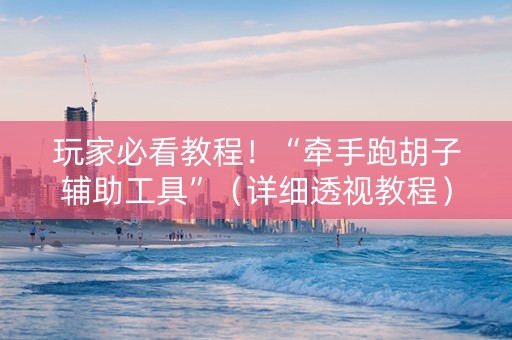 玩家必看教程！“牵手跑胡子辅助工具”（详细透视教程）-哔哩哔哩