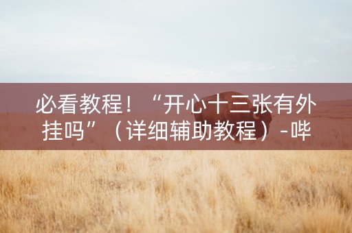必看教程！“开心十三张有外挂吗”（详细辅助教程）-哔哩哔哩