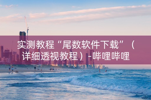 实测教程“尾数软件下载”（详细透视教程）-哔哩哔哩