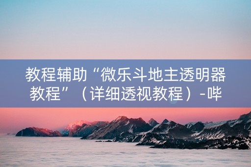 教程辅助“微乐斗地主透明器教程”（详细透视教程）-哔哩哔哩