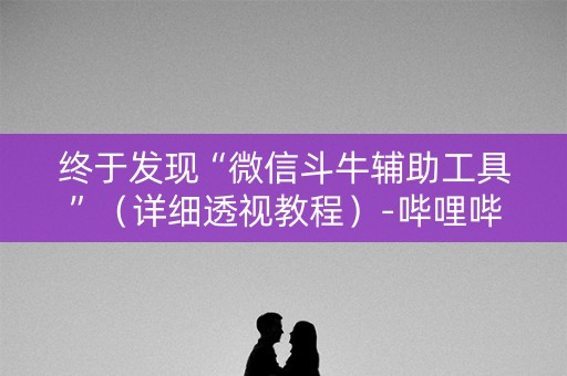 终于发现“微信斗牛辅助工具”（详细透视教程）-哔哩哔哩