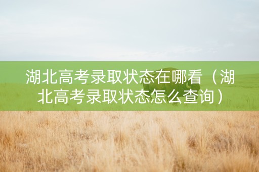 湖北高考录取状态在哪看（湖北高考录取状态怎么查询）