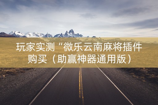 玩家实测“微乐云南麻将插件购买（助赢神器通用版）
