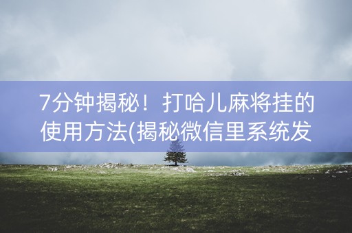 7分钟揭秘！打哈儿麻将挂的使用方法(揭秘微信里系统发好牌)
