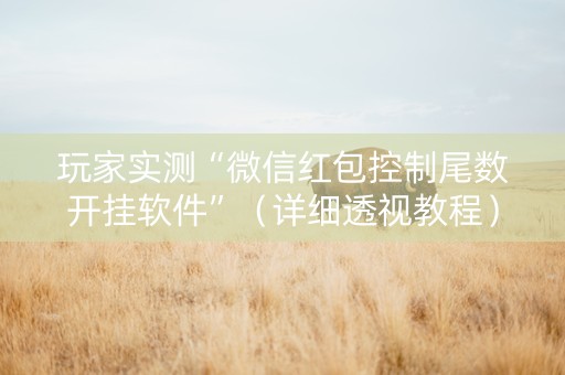 玩家实测“微信红包控制尾数开挂软件”（详细透视教程）-哔哩哔哩