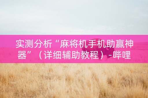 实测分析“麻将机手机助赢神器”（详细辅助教程）-哔哩哔哩