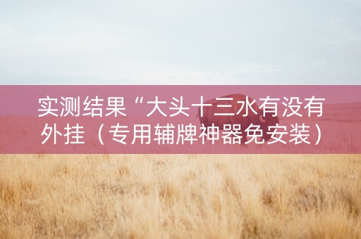 实测结果“大头十三水有没有外挂（专用辅牌神器免安装）