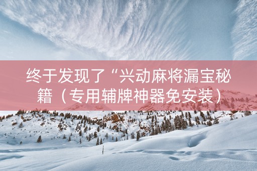 终于发现了“兴动麻将漏宝秘籍（专用辅牌神器免安装）