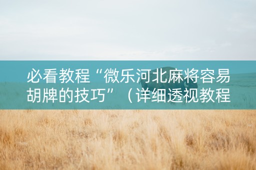 必看教程“微乐河北麻将容易胡牌的技巧”（详细透视教程）-哔哩哔哩