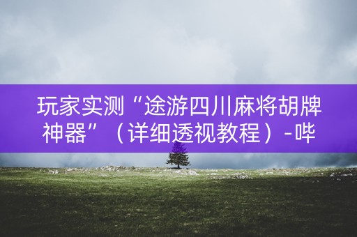 玩家实测“途游四川麻将胡牌神器”（详细透视教程）-哔哩哔哩