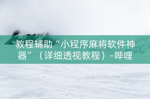 教程辅助“小程序麻将软件神器”（详细透视教程）-哔哩哔哩