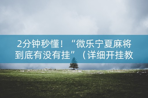 2分钟秒懂！“微乐宁夏麻将到底有没有挂”（详细开挂教程）-哔哩哔哩