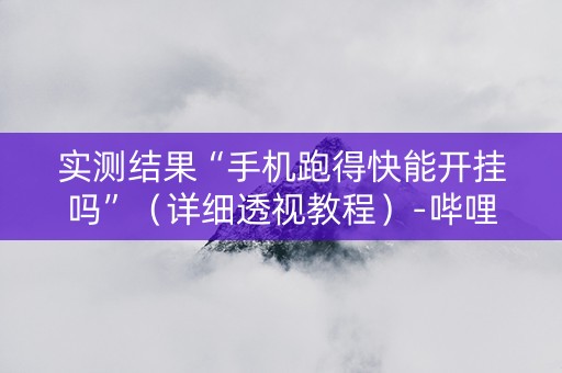 实测结果“手机跑得快能开挂吗”（详细透视教程）-哔哩哔哩
