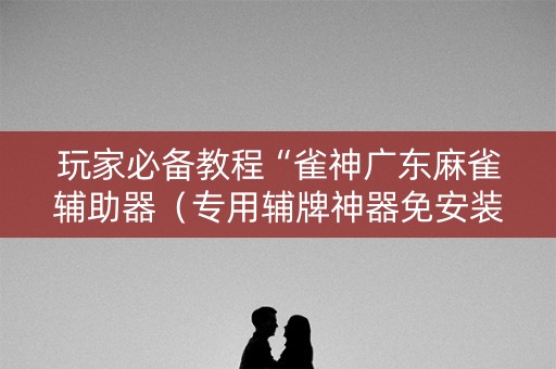 玩家必备教程“雀神广东麻雀辅助器（专用辅牌神器免安装）
