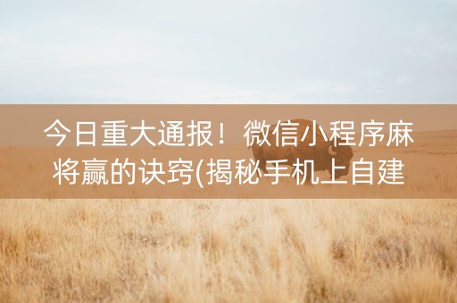 今日重大通报！微信小程序麻将赢的诀窍(揭秘手机上自建房怎么赢)