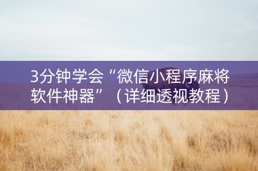 3分钟学会“微信小程序麻将软件神器”（详细透视教程）-哔哩哔哩