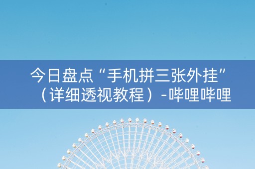 今日盘点“手机拼三张外挂”（详细透视教程）-哔哩哔哩