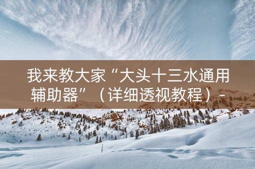 我来教大家“大头十三水通用辅助器”（详细透视教程）-哔哩哔哩