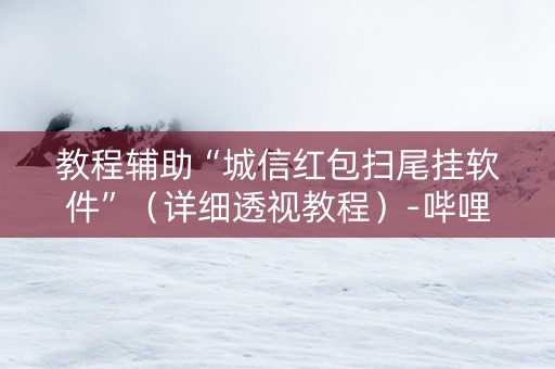 教程辅助“城信红包扫尾挂软件”（详细透视教程）-哔哩哔哩