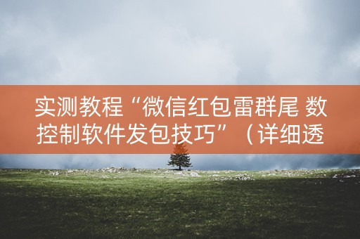 实测教程“微信红包雷群尾 数控制软件发包技巧”（详细透视教程）-哔哩哔哩