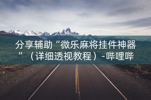 分享辅助“微乐麻将挂件神器”（详细透视教程）-哔哩哔哩
