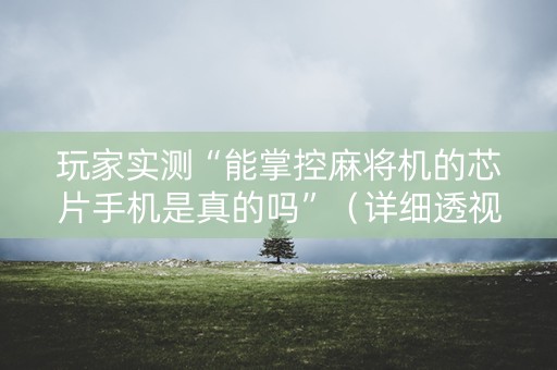 玩家实测“能掌控麻将机的芯片手机是真的吗”（详细透视教程）-哔哩哔哩