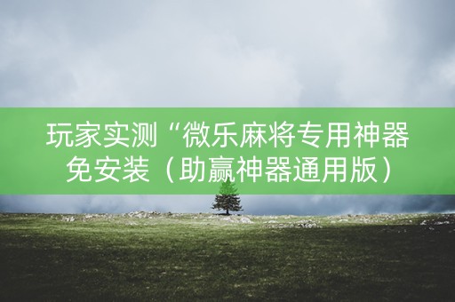 玩家实测“微乐麻将专用神器免安装（助赢神器通用版）