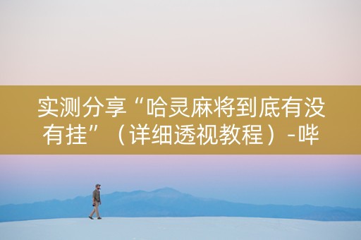 实测分享“哈灵麻将到底有没有挂”（详细透视教程）-哔哩哔哩